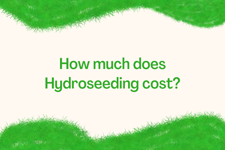How much does Hydroseeding cost? 5 things you should know