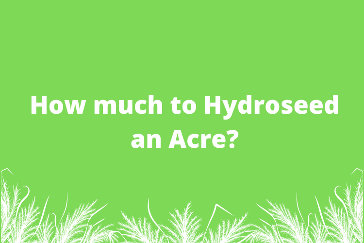How much to Hydroseed an Acre | Cost of Hydroseeding